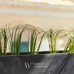 Wanderlust Experience Art&living Апартаменты Битонто